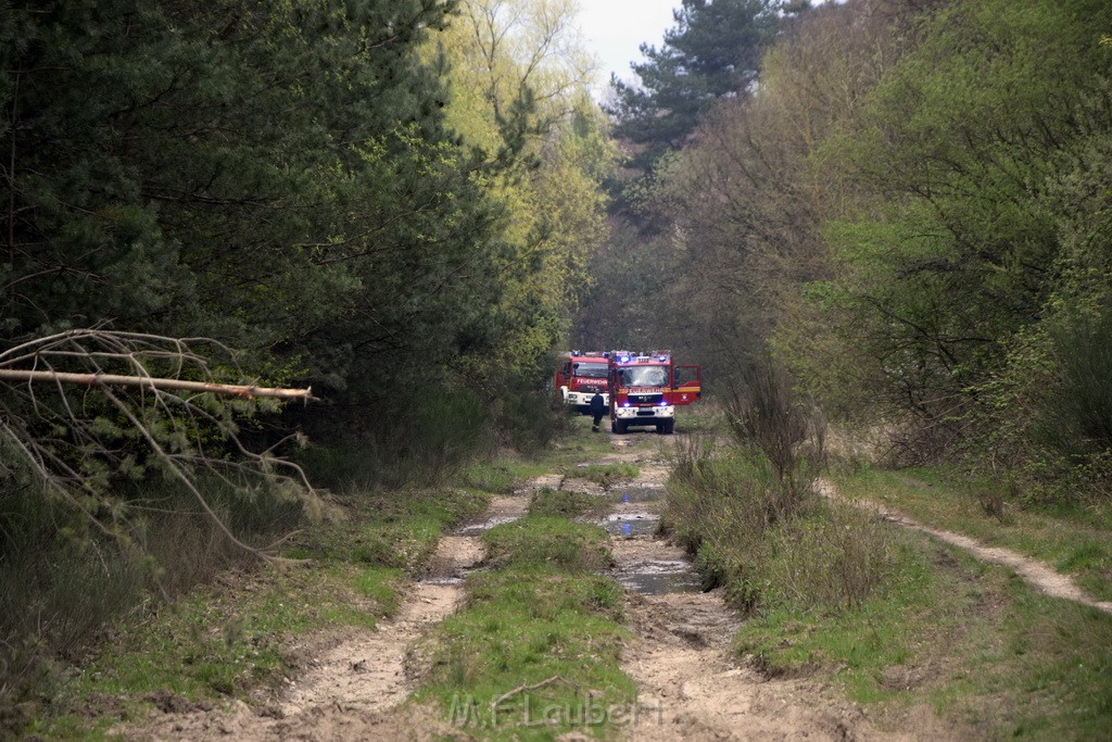 Waldbrand Wahner Heide Troisdorf Eisenweg P124.JPG - Miklos Laubert